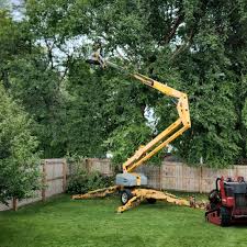 Lawn Renovation and Restoration in Pelham, GA
