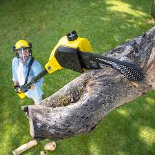 Best Commercial Tree Services  in Pelham, GA