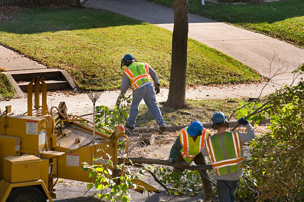 Mulching Services in Pelham, GA